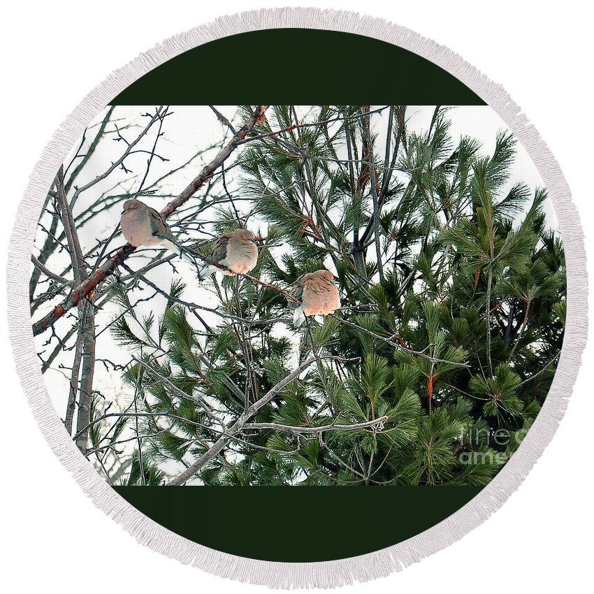 Sleeping Birds Round Beach Towel featuring the photograph Sleeping Morning Doves by Gwen Gibson