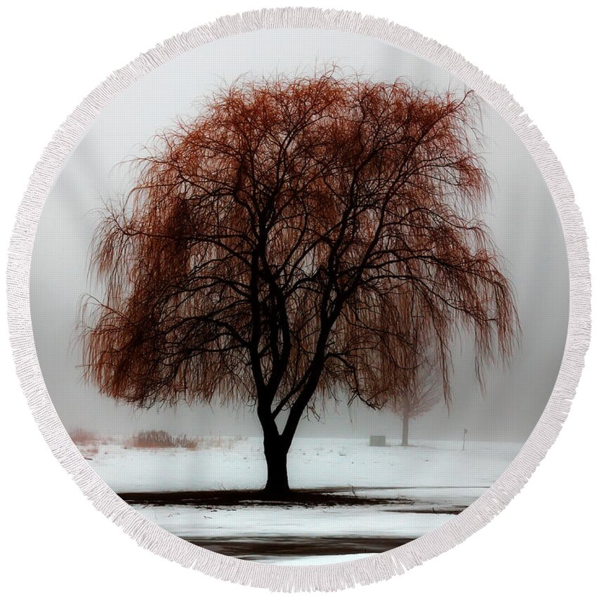 Weeping Willow Round Beach Towel featuring the photograph Sleeping Willow by Rick Kuperberg Sr
