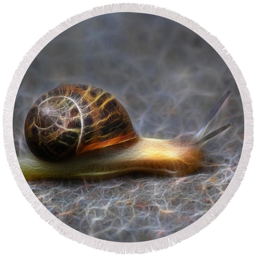 Snail Round Beach Towel featuring the photograph Snail Dreams by Shane Bechler
