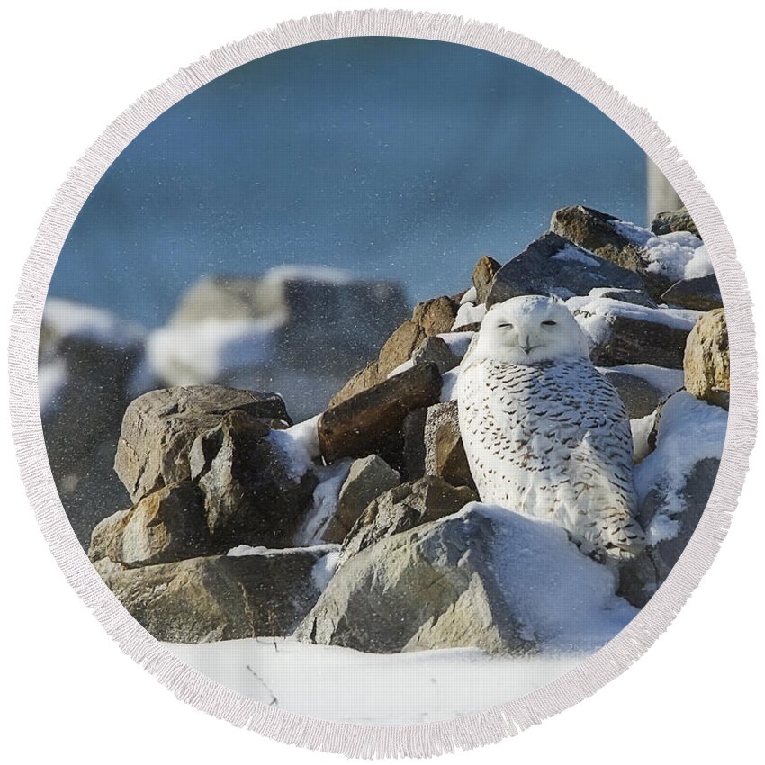 Snowy Owl Round Beach Towel featuring the photograph Snowy Owl on a Rock Pile by John Vose