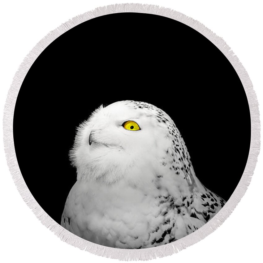 Animal Round Beach Towel featuring the photograph Snowy Owl by Peter Lakomy