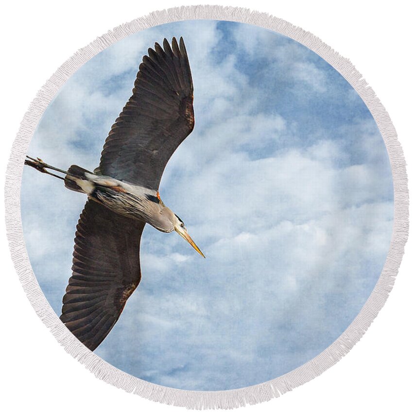 Soaring Round Beach Towel featuring the photograph Soaring by Dale Kincaid