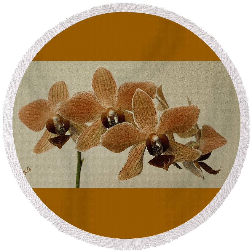 Orchid Round Beach Towel featuring the photograph Sofia Orchid by Ben and Raisa Gertsberg