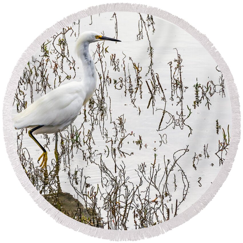 Bird Round Beach Towel featuring the photograph Solitude by Kate Brown