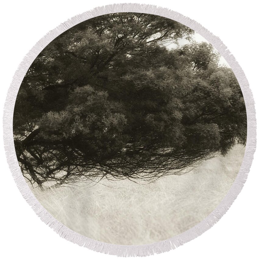 Tree Round Beach Towel featuring the photograph Somewhere to Dream by Amy Weiss