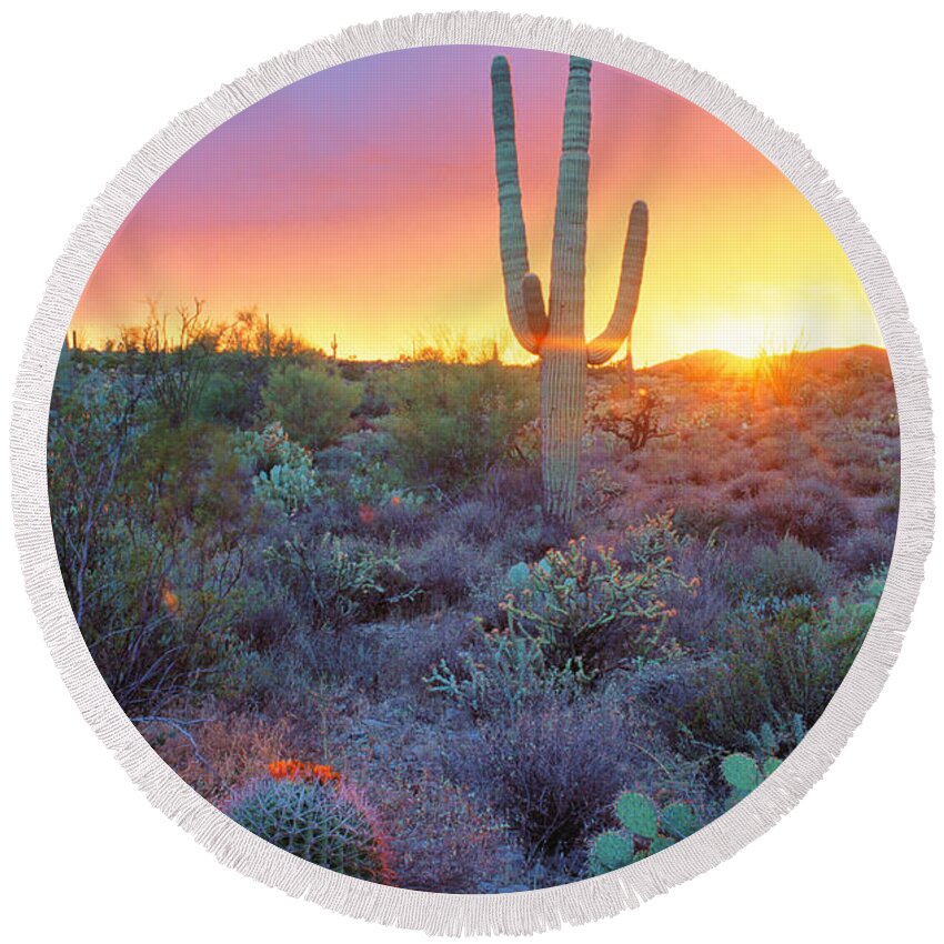 Arizona Round Beach Towel featuring the photograph Sonoran Desert Sunset by Adam Sylvester
