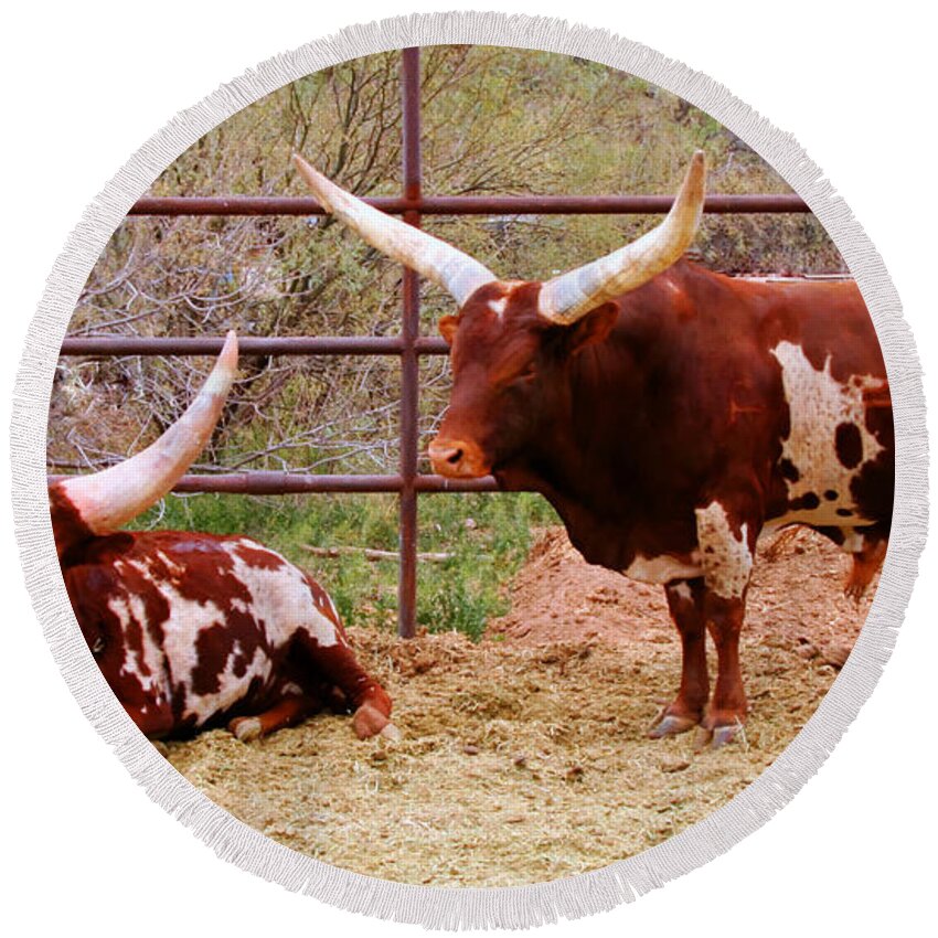 Arizona Round Beach Towel featuring the photograph Southwest Long Horn Bulls by Tap On Photo