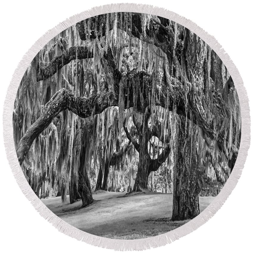 Clouds Round Beach Towel featuring the photograph Spanish Moss in Black and White by Debra and Dave Vanderlaan