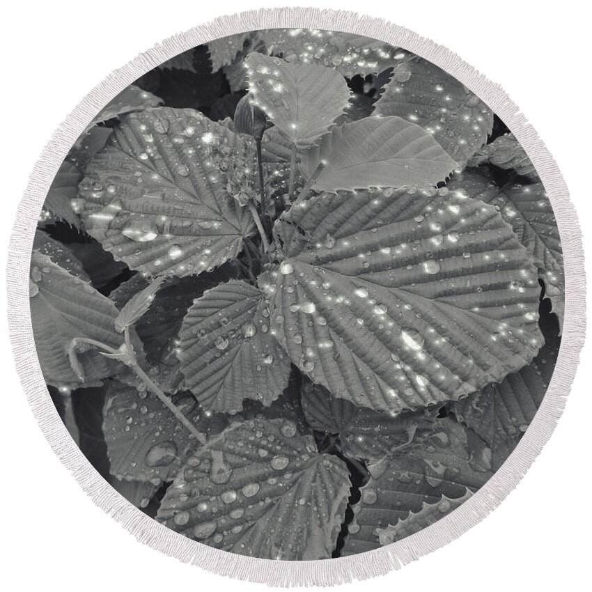 Leaves Round Beach Towel featuring the photograph Sparkling Leaves by Cathy Anderson