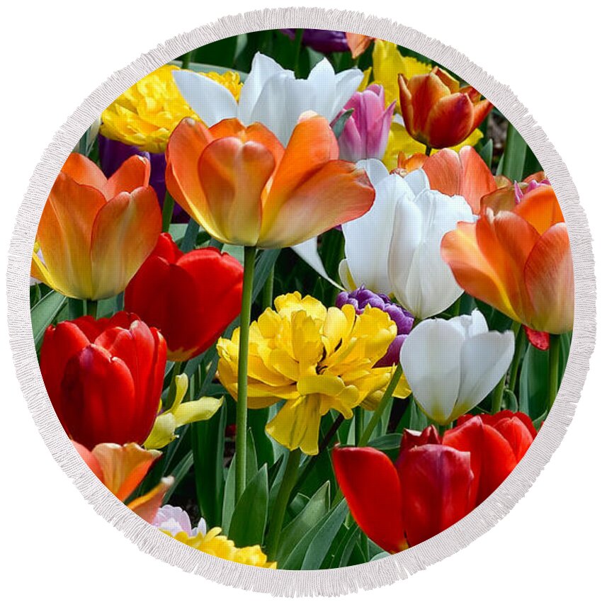 Tulips Round Beach Towel featuring the photograph Splash of Spring by William Jobes