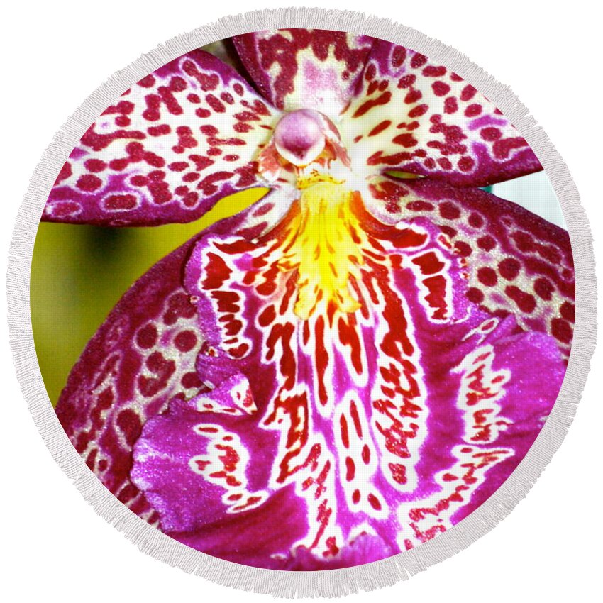Orchid Round Beach Towel featuring the photograph Spotted Orchid by Lehua Pekelo-Stearns