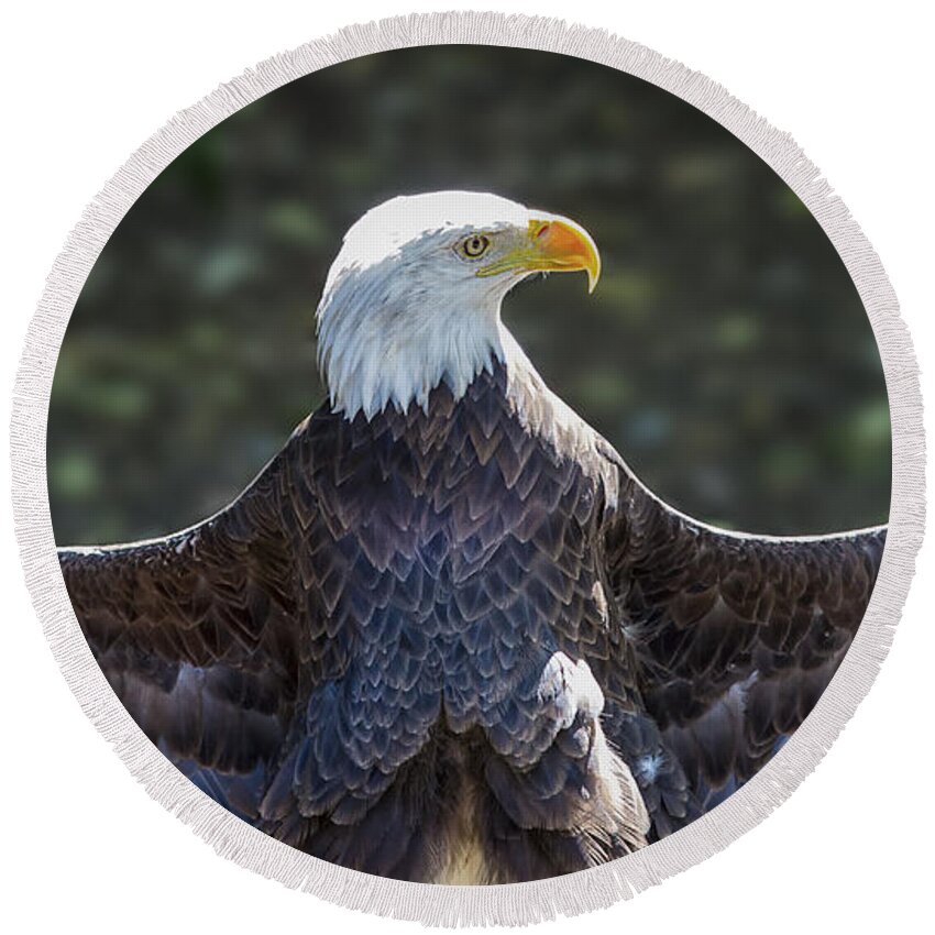 Eagle Round Beach Towel featuring the photograph Spread Eagle by Bill and Linda Tiepelman