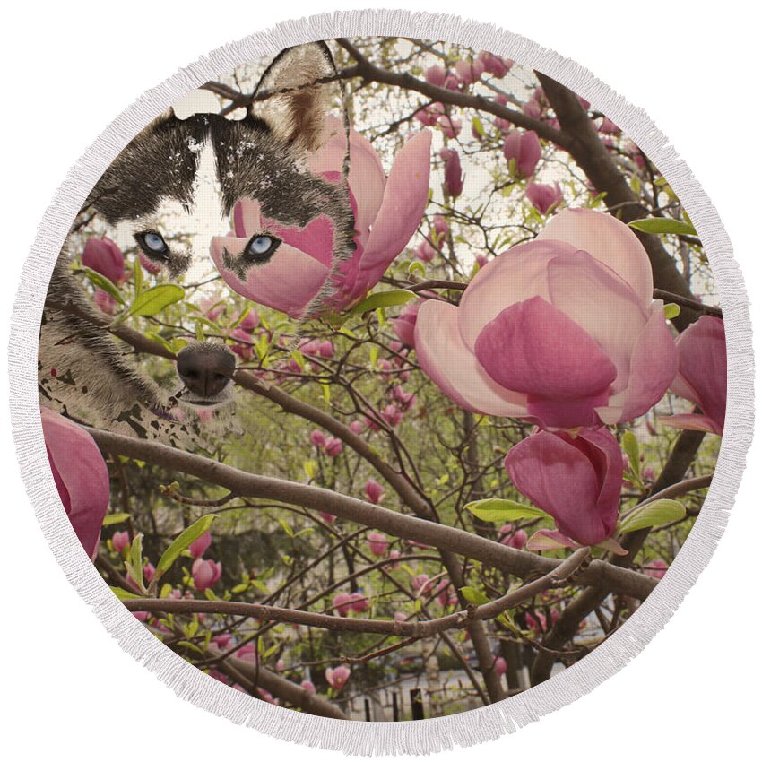 Magnolia Flowers Round Beach Towel featuring the painting Spring and Beauty by Georgeta Blanaru