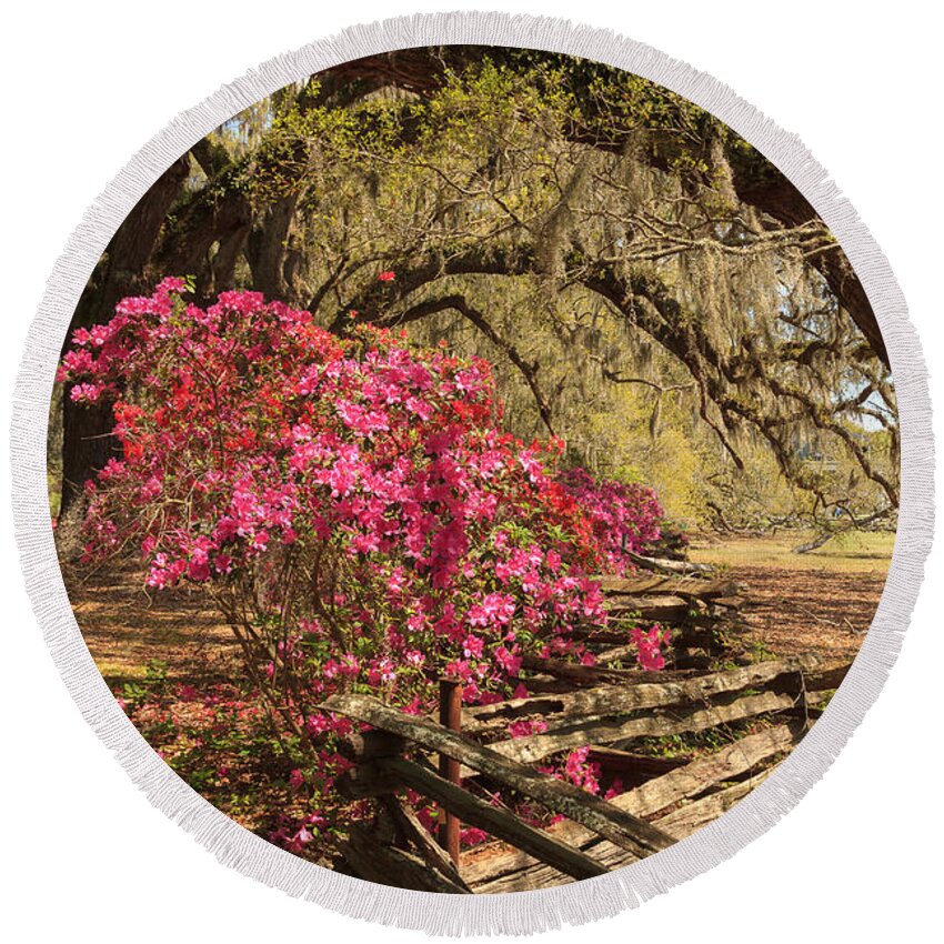 Azalea Round Beach Towel featuring the photograph Spring Beauty by Patricia Schaefer
