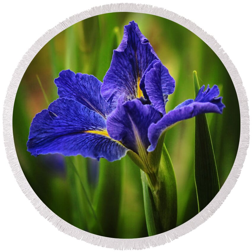 Spring Round Beach Towel featuring the photograph Spring Blue Iris by Lucy VanSwearingen
