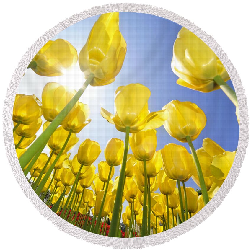 Colourful Round Beach Towel featuring the photograph Spring flowers 5 by Arterra Picture Library
