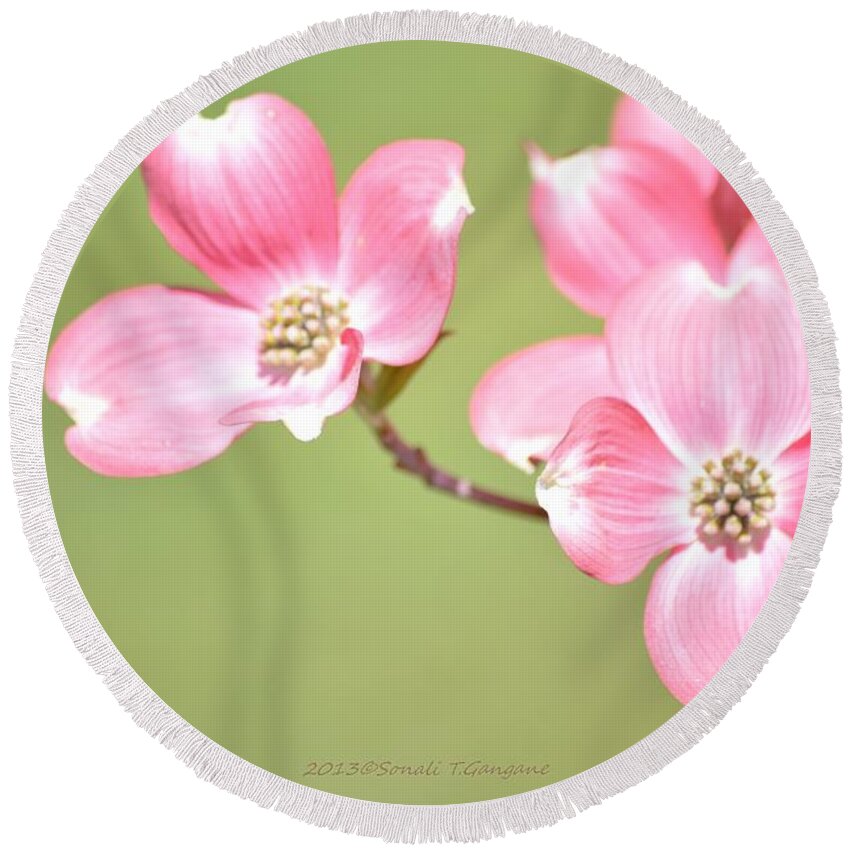 Dogwood Flower Round Beach Towel featuring the photograph Spring Harbinger by Sonali Gangane