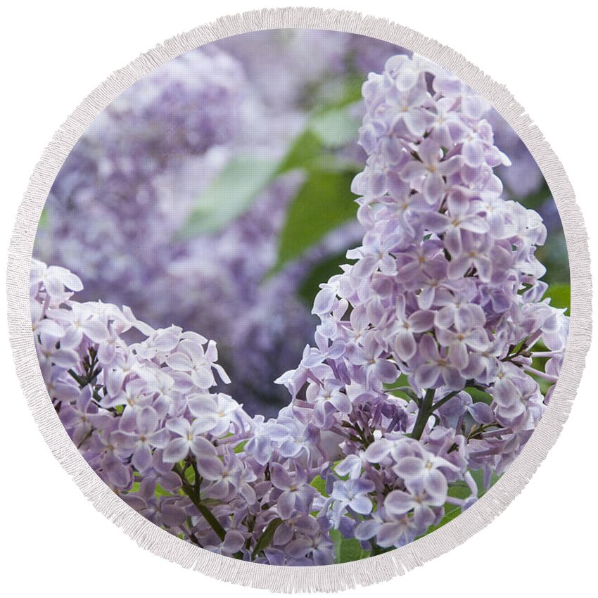 Blooming Common Lilac Round Beach Towel featuring the photograph Spring Lilacs in Bloom by Juli Scalzi