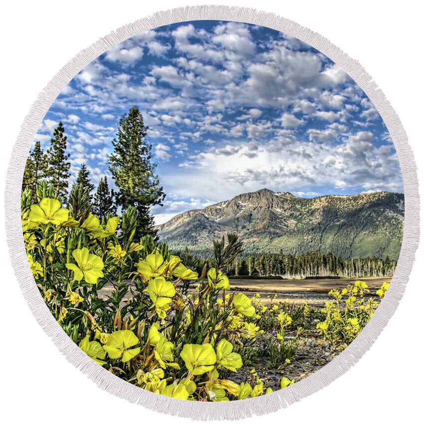 Landscape Round Beach Towel featuring the photograph Spring Meadow by Maria Coulson