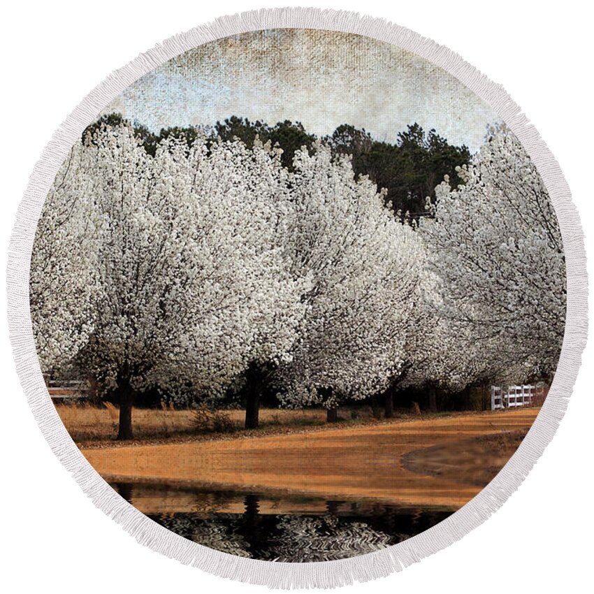 Flowers Round Beach Towel featuring the photograph Spring Pear Blossoms by Kathy Baccari