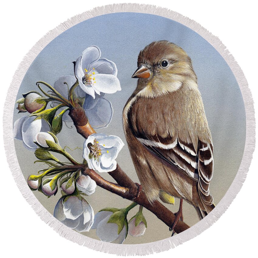 American Goldfinch Round Beach Towel featuring the painting Spring Splendor by Mike Brown