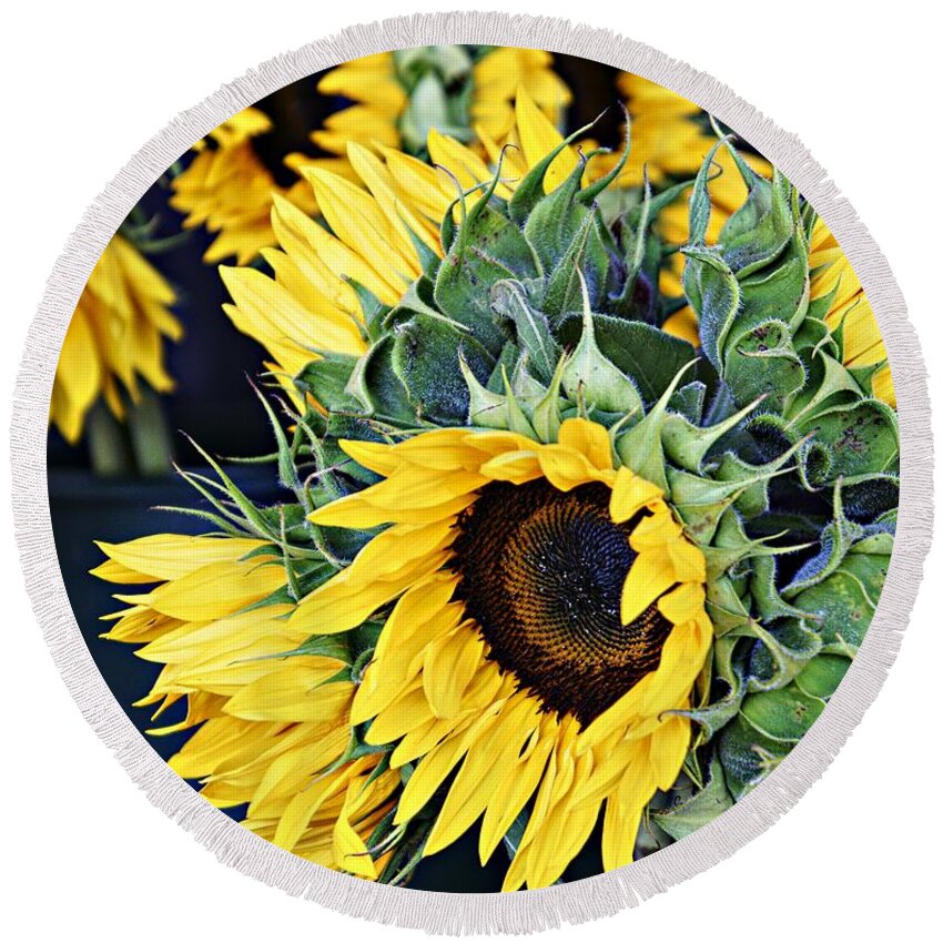 Sunflowers Round Beach Towel featuring the photograph Spring Sunflowers by Lilliana Mendez