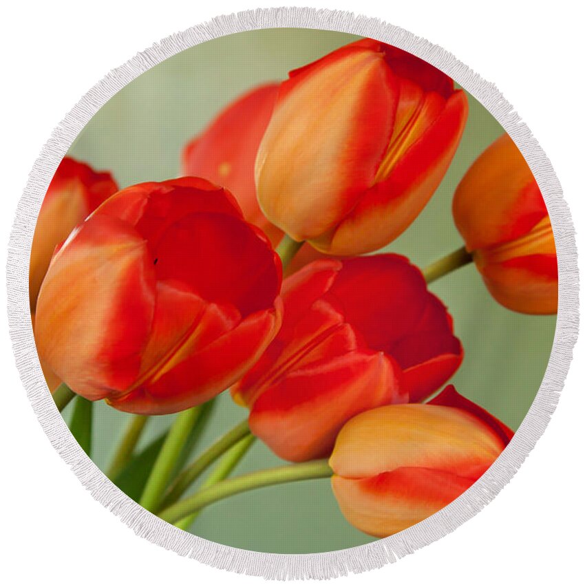  Round Beach Towel featuring the photograph Spring Tulips by Courtney Webster