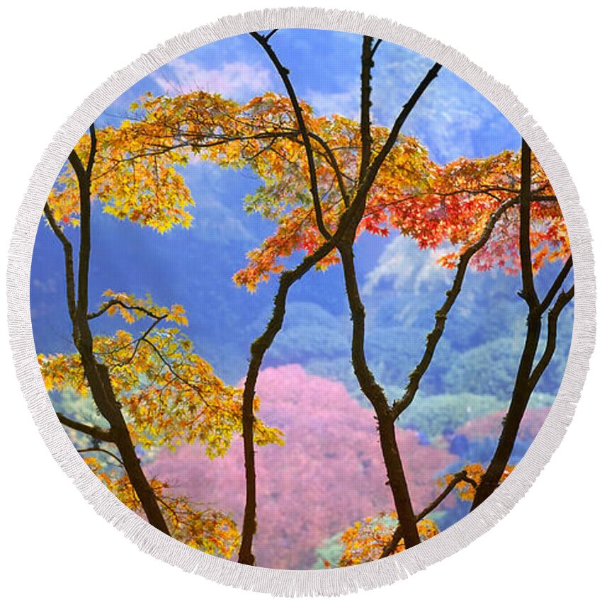 Portland Round Beach Towel featuring the photograph Stained Glass by Lori Grimmett