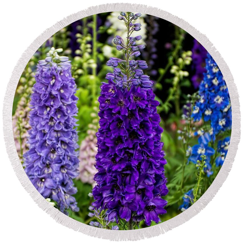 Delphinium Round Beach Towel featuring the photograph Stand Tall by Peggy Hughes