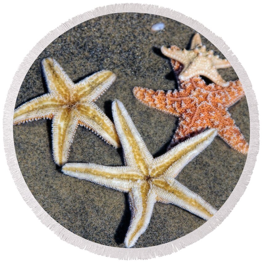 Starfish Round Beach Towel featuring the photograph Starfish by Tammy Espino