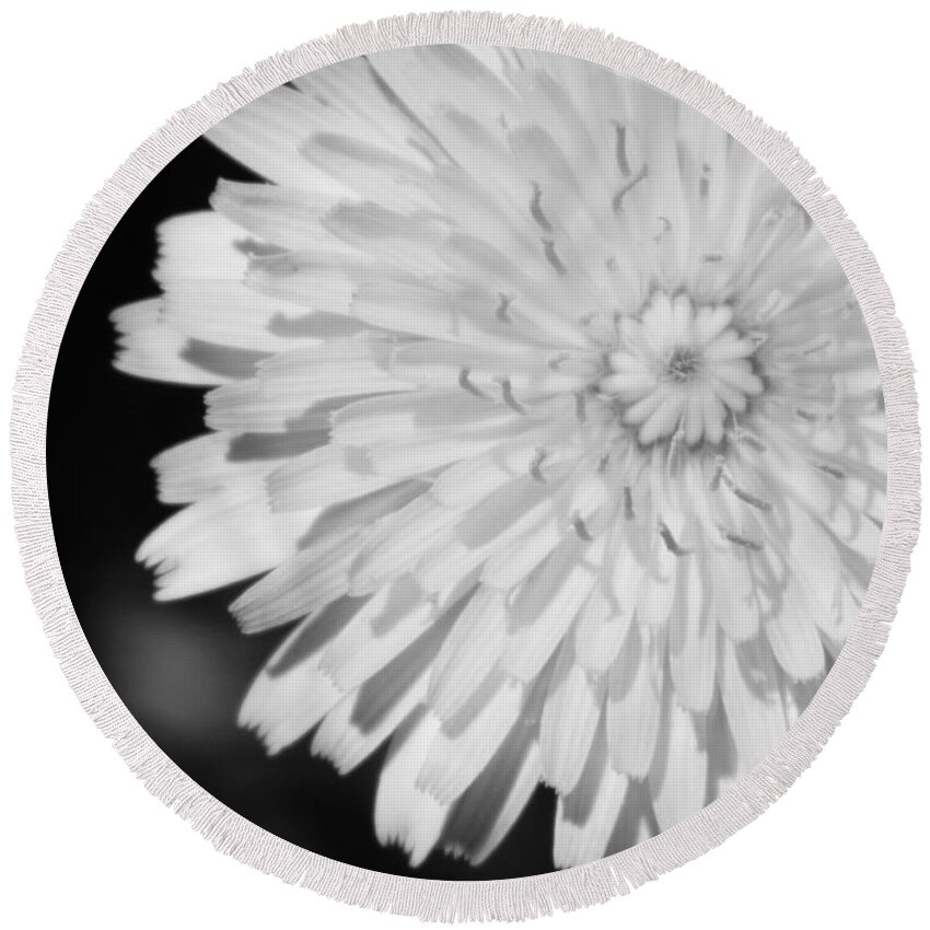 Flower Round Beach Towel featuring the photograph Stop staring at me by Andrea Anderegg