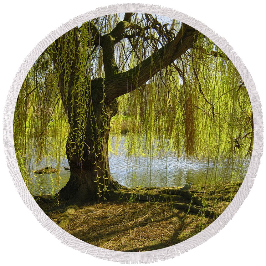 Tree Round Beach Towel featuring the photograph Sunday In The Park by Madeline Ellis