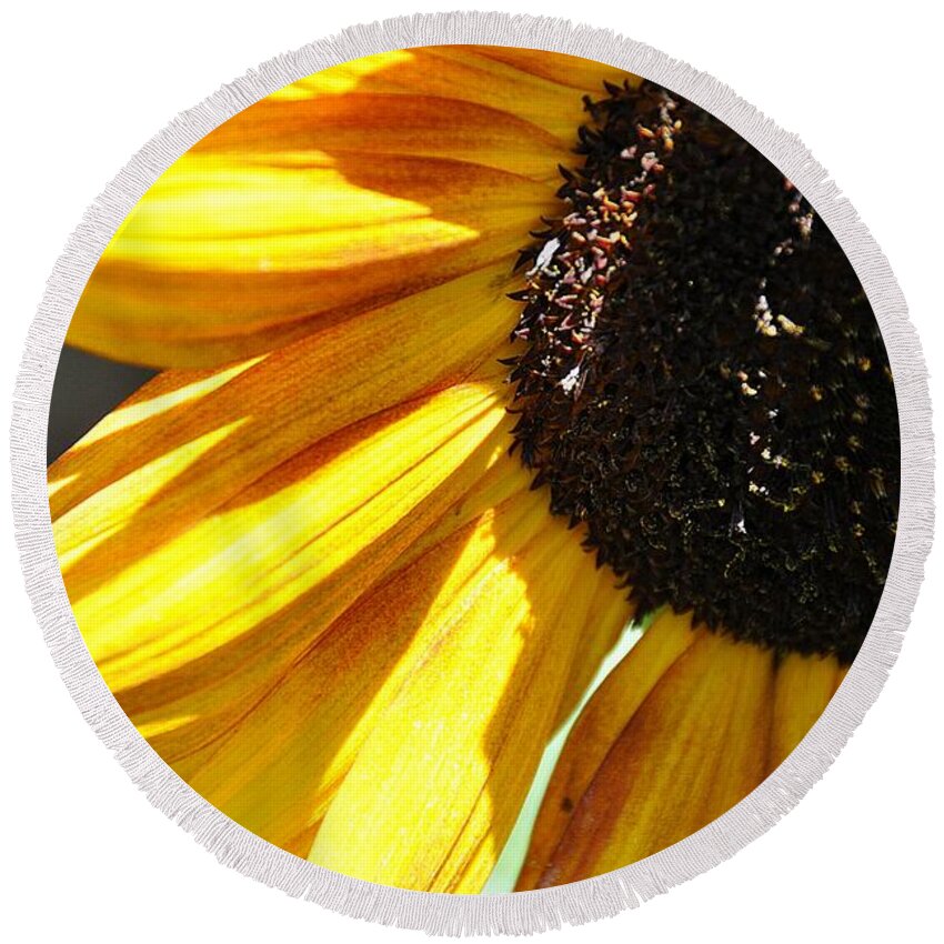  Round Beach Towel featuring the photograph Sunflower by Cheryl Baxter