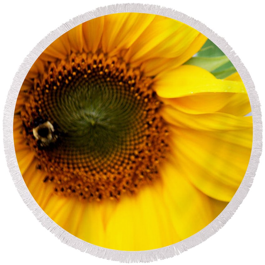 Yellow Round Beach Towel featuring the photograph Sunflower by Donna Walsh