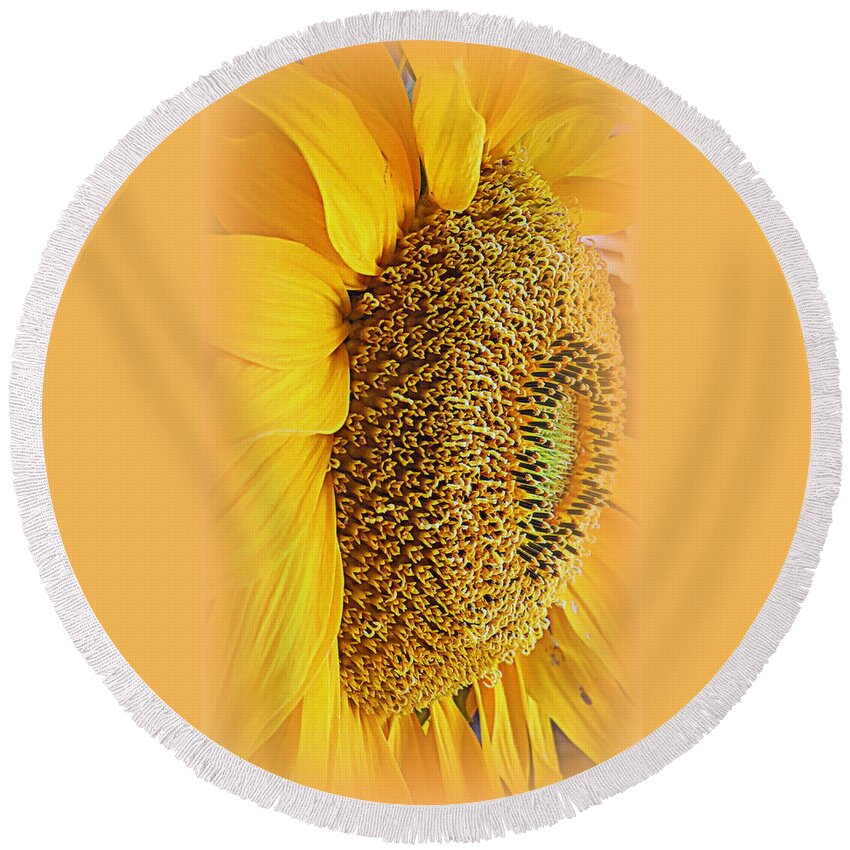 Macro Round Beach Towel featuring the photograph Sunflower by Kay Novy