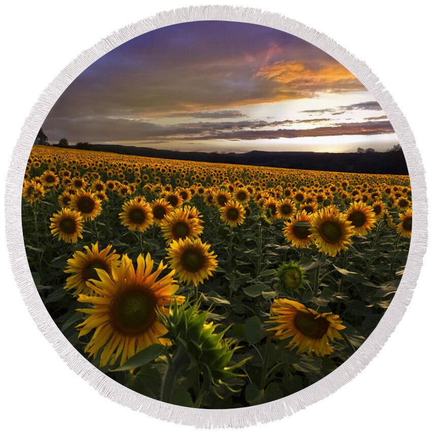 Austria Round Beach Towel featuring the photograph Sunflower Sunset by Debra and Dave Vanderlaan