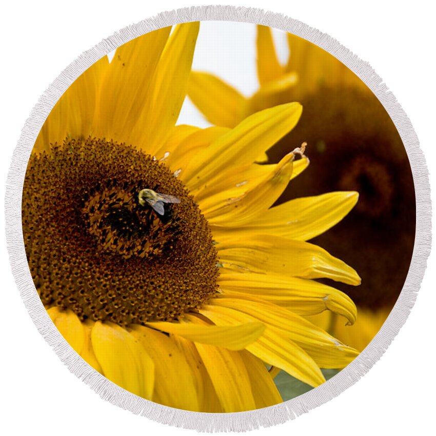  Round Beach Towel featuring the photograph Sunflowers and Bees by Cheryl Baxter