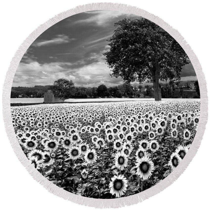 American Round Beach Towel featuring the photograph Sunflowers in Black and White by Debra and Dave Vanderlaan