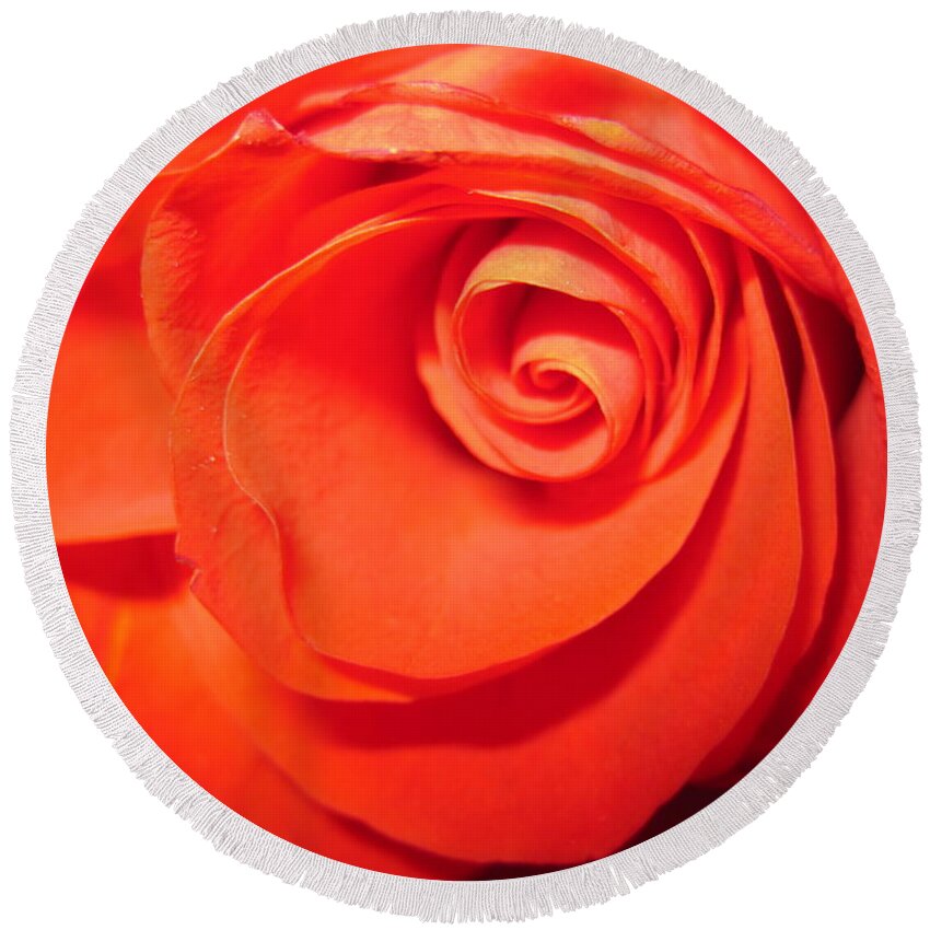 Floral Round Beach Towel featuring the photograph Sunkissed Orange Rose 9 by Tara Shalton