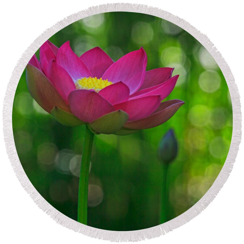 California Round Beach Towel featuring the photograph Sunlight on Lotus Flower by Beth Sargent