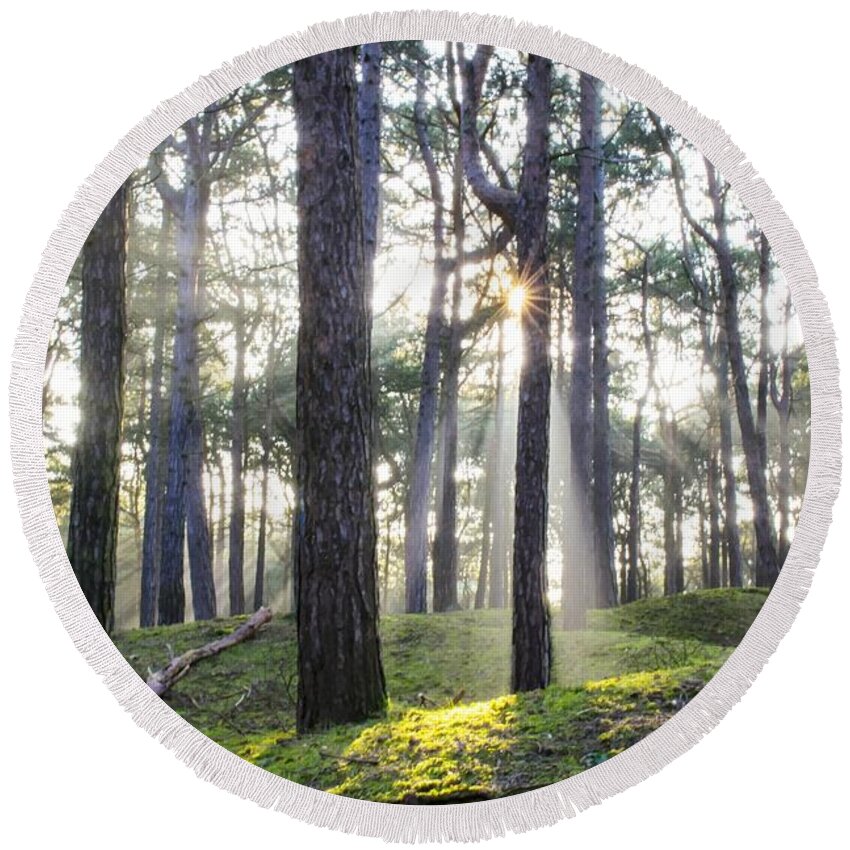 Trees Round Beach Towel featuring the photograph Sunlit Trees by Spikey Mouse Photography