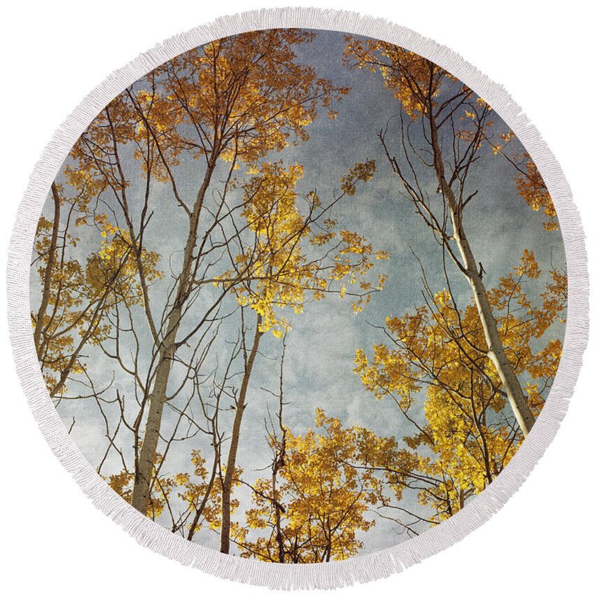 Leaves Round Beach Towel featuring the photograph Sunny leaves wide by Priska Wettstein
