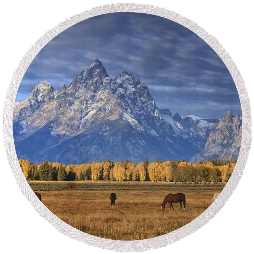 Wyoming Round Beach Towel featuring the photograph Sunrise Grazing by Mark Kiver