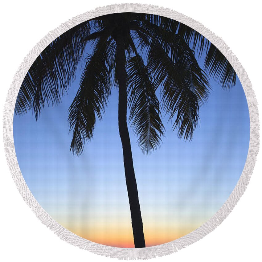 Bayshore Round Beach Towel featuring the photograph Sunset Palm by Raul Rodriguez