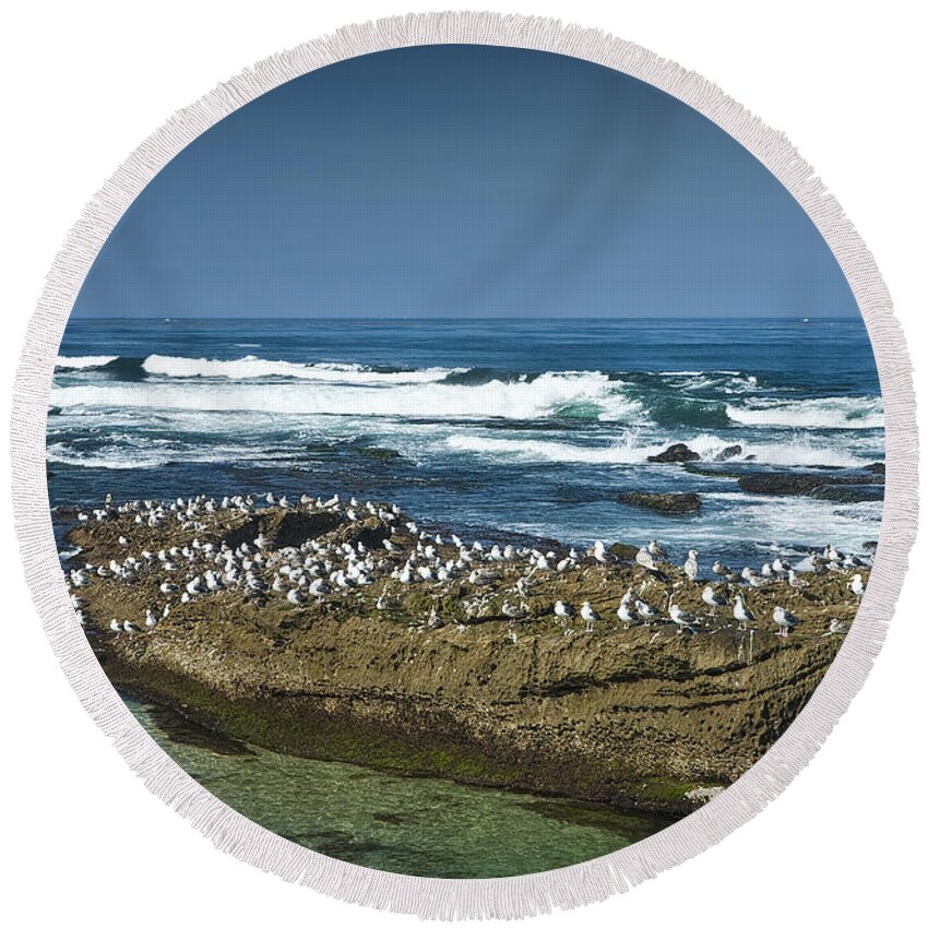 Ocean Round Beach Towel featuring the photograph Surf Waves at La Jolla California with Gulls perched on a Large Rock No. 0194 by Randall Nyhof