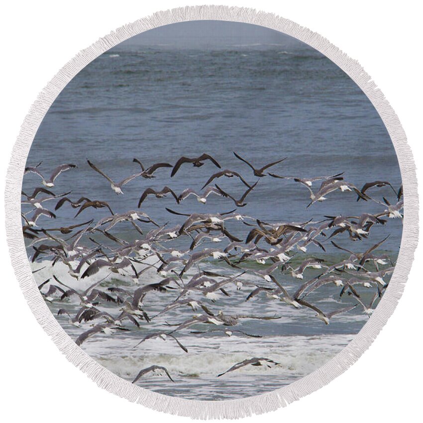 Beaches. Birds Round Beach Towel featuring the photograph Surrounded by Kathy McClure