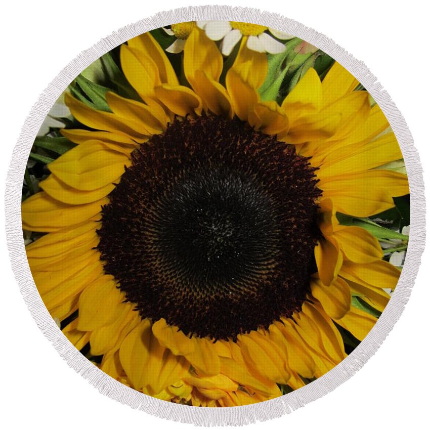 Daisy Round Beach Towel featuring the photograph Surrounded by Rosita Larsson