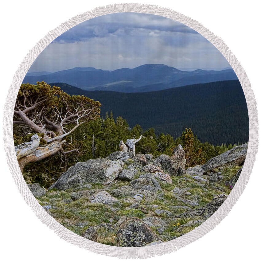 Tree Round Beach Towel featuring the photograph Survivor by Gary Holmes