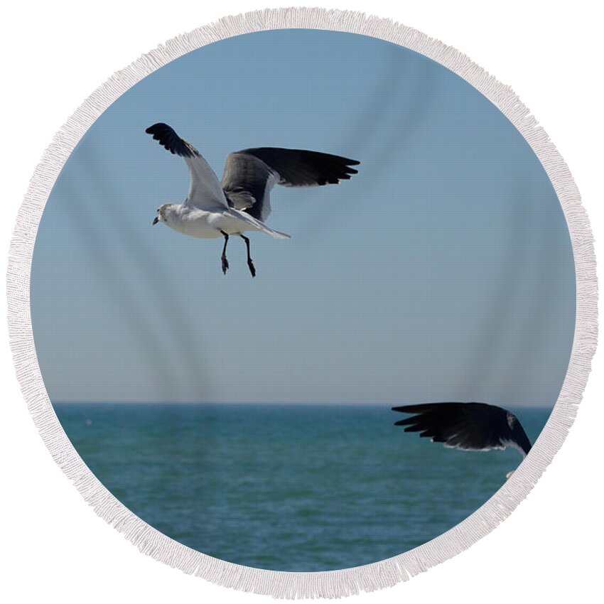 susan Molnar Round Beach Towel featuring the photograph Suspense II by Susan Molnar