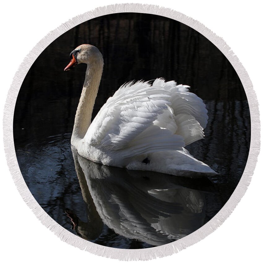 Swan Round Beach Towel featuring the photograph Swan with Reflection by Eleanor Abramson